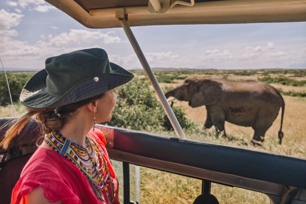 The Benefits of Booking a Luxury African Safari for Your Family